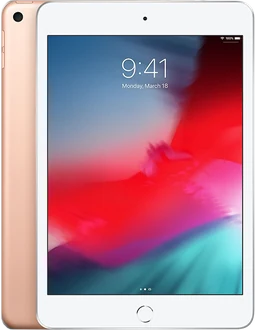 iPad mini 4 / 5